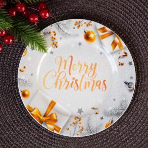 Christmas Main Course Plate - The Magic of Christmas