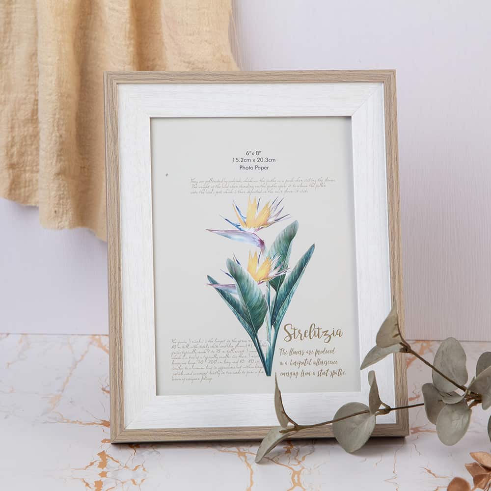 Photo frame from the Emotions in a Frame series - L - Image 2