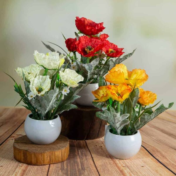 Flower arrangement - Poppies