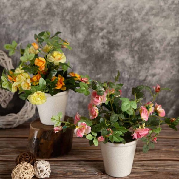 Colorful arrangement mini Roses
