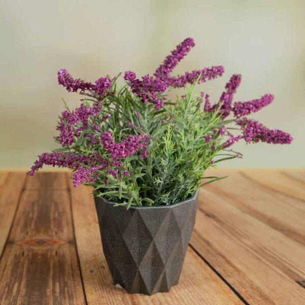 Flower arrangement - Lavender