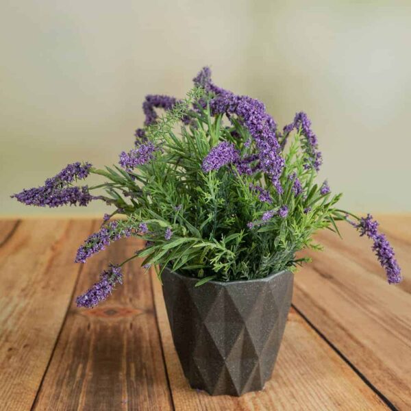 Flower arrangement - Lavender