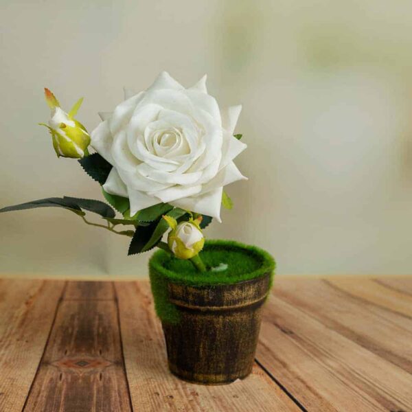 Flower arrangement - Garden rose