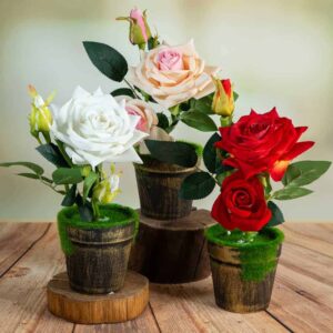 Flower arrangement - Garden rose