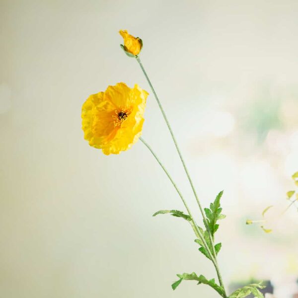 Artificial flower - Poppy