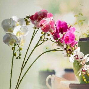 Artificial flower - Orchid