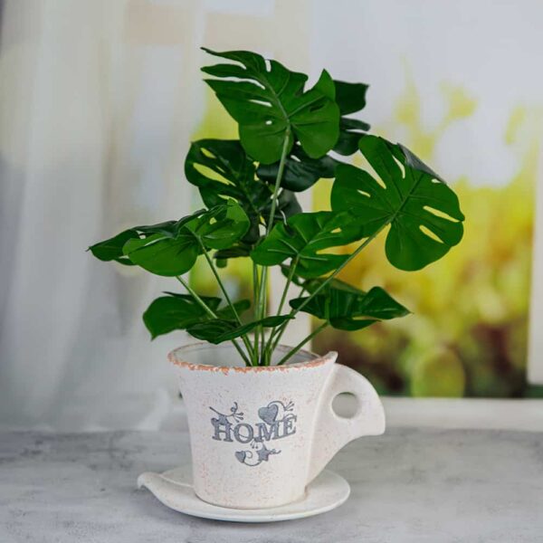 Flower pot with saucer - Home