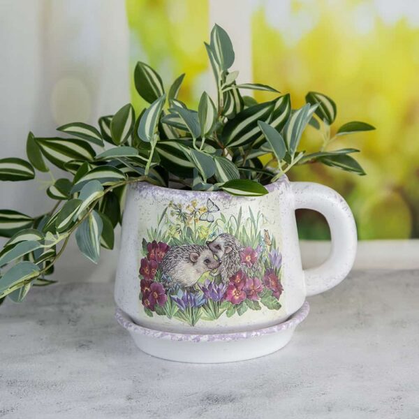 Flower pot with saucer - Hedgehogs
