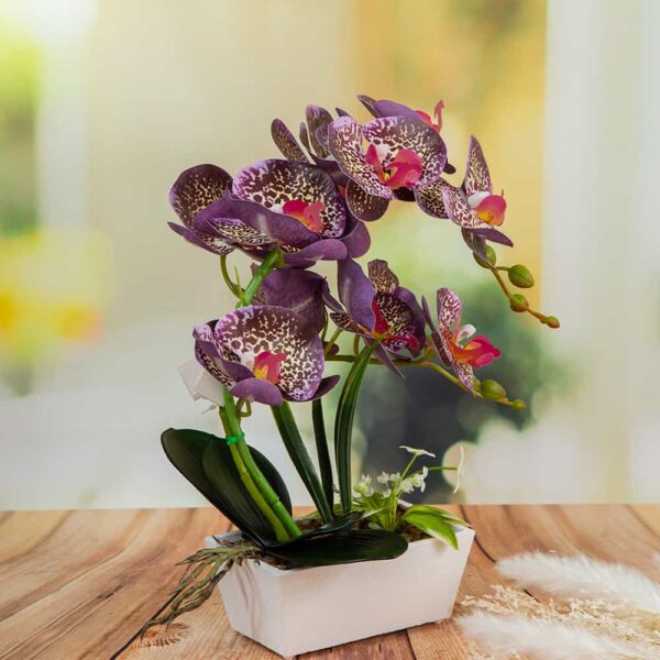 Arrangement - Orchids