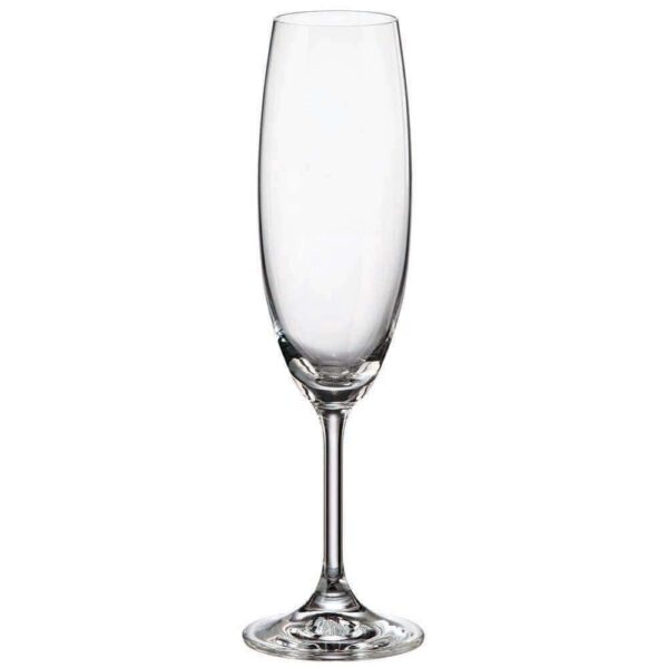 Champagne glasses from the Fiora Love series 220ml