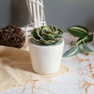 Succulent Figurine