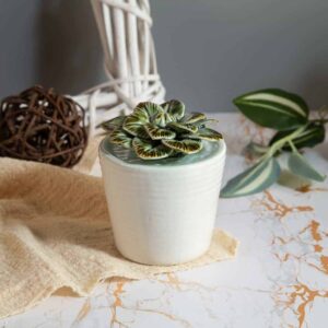 Succulent Figurine