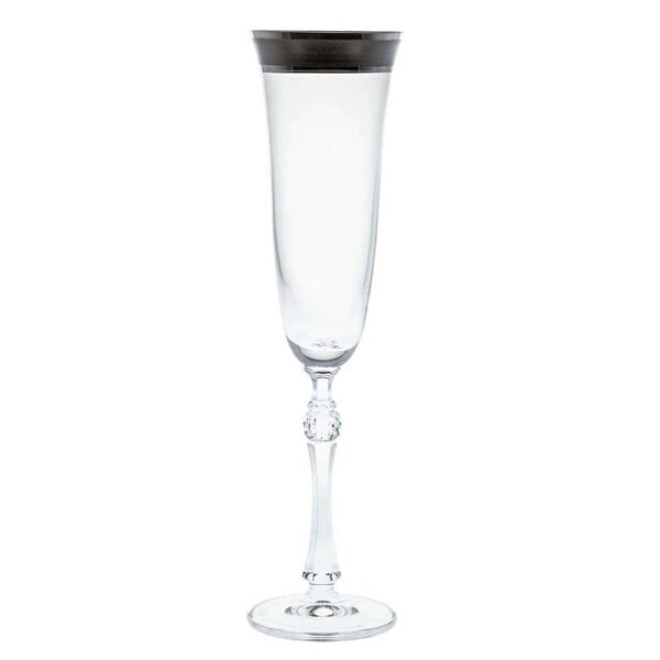 Champagne glasses from Parus series - silver 190ml